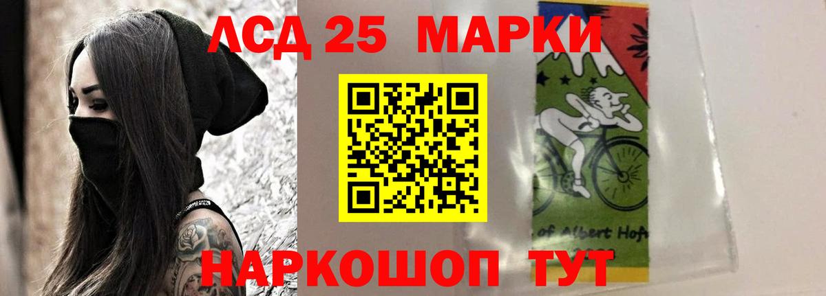 Галлюциногенные грибы Обнинск