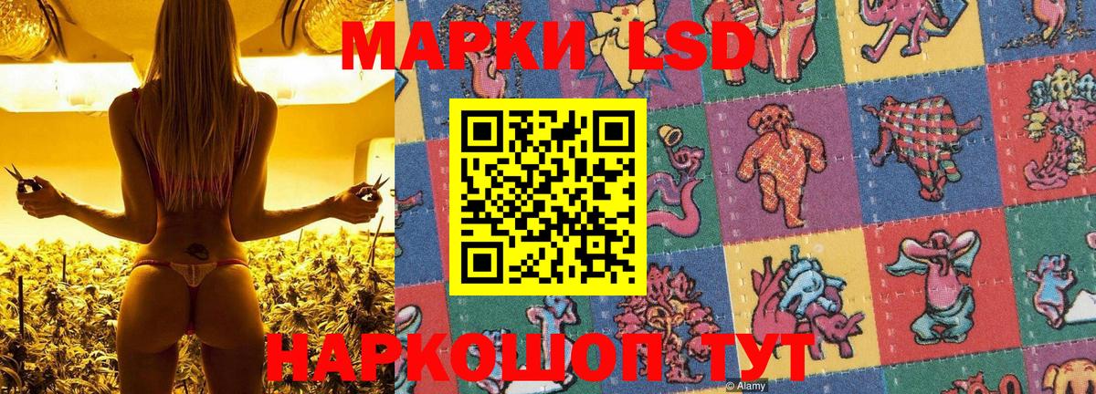 Марки N-bome 1,8мг  Вход с VPN  Обнинск  Марки N-bome 1,8мг 