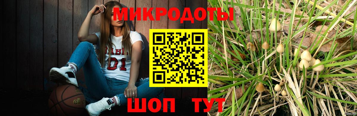 Псилоцибиновые грибы мухоморы  Псилоцибиновые грибы Cubensis  что такое   Обнинск  Вход с VPN 